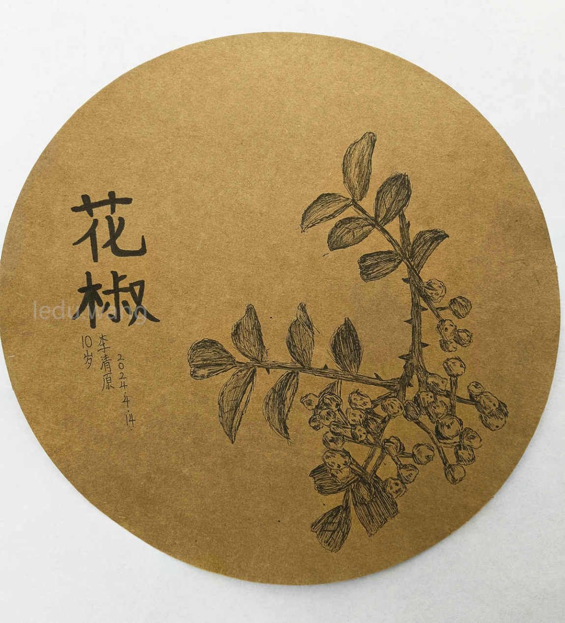 花椒儿童绘画 李清原