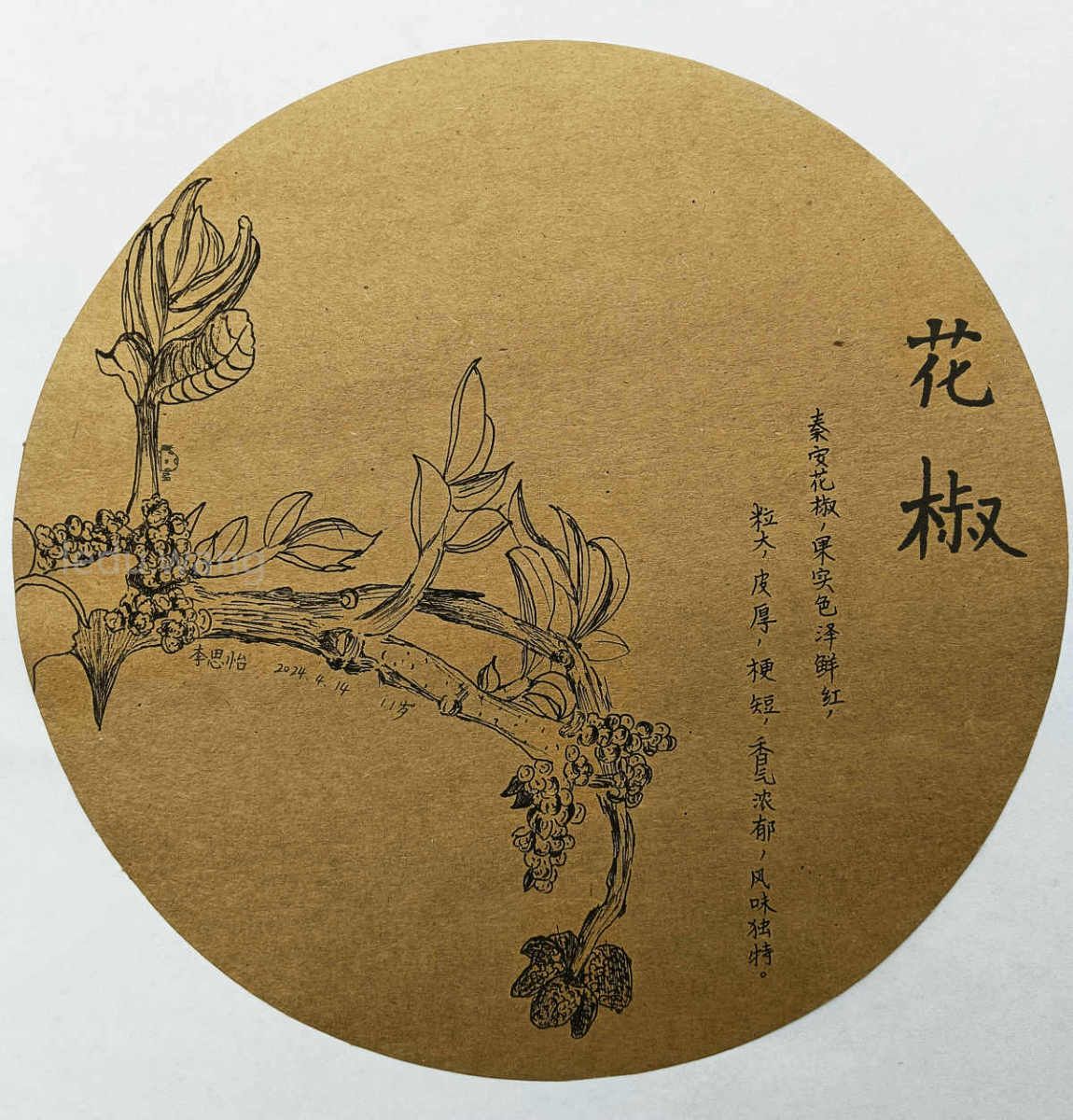 【吃天水府辣烫，寻花椒之发源】图3
