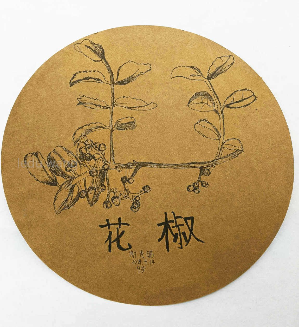 【吃天水府辣烫，寻花椒之发源】图4