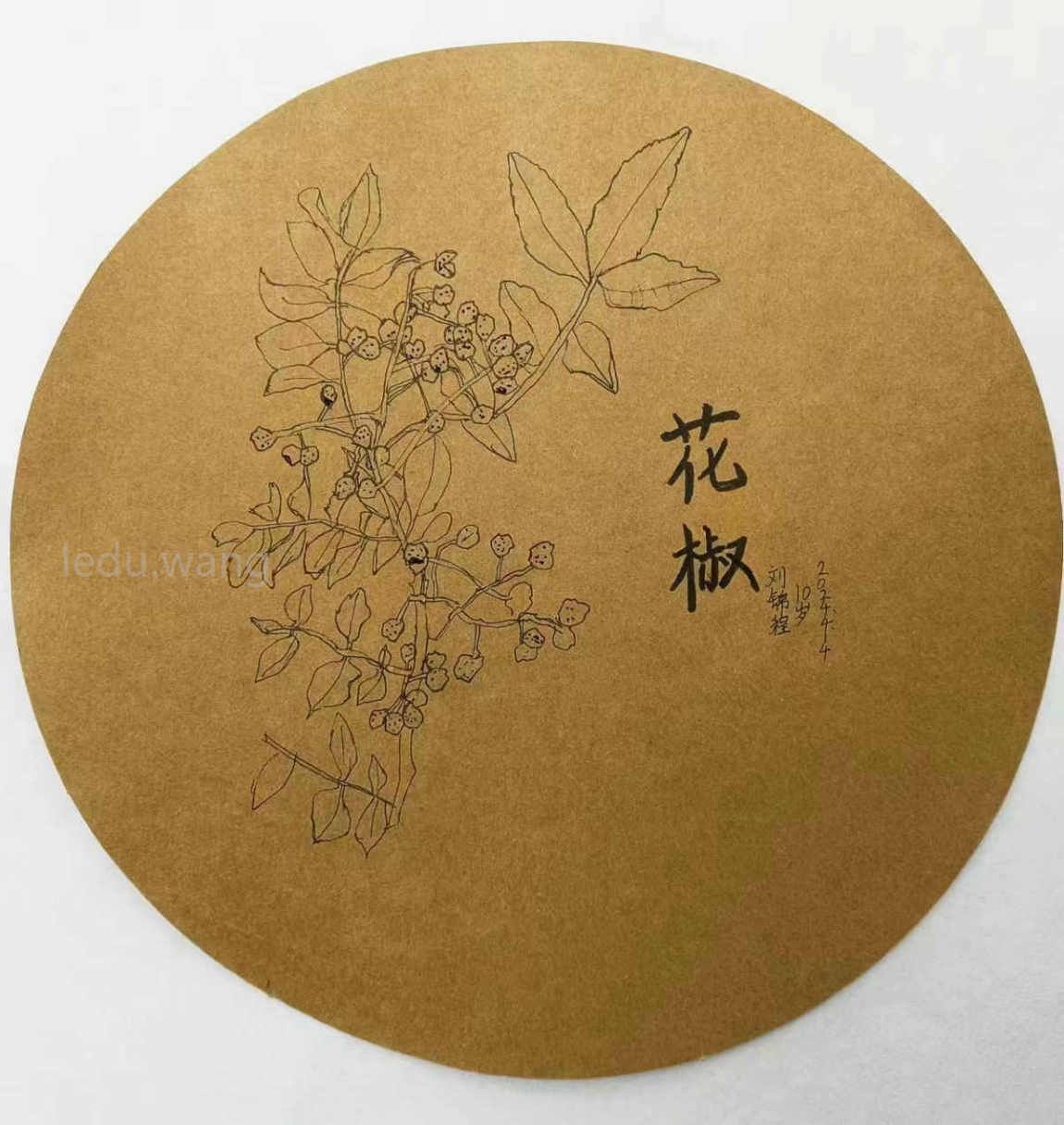 花椒儿童绘画 刘锦程