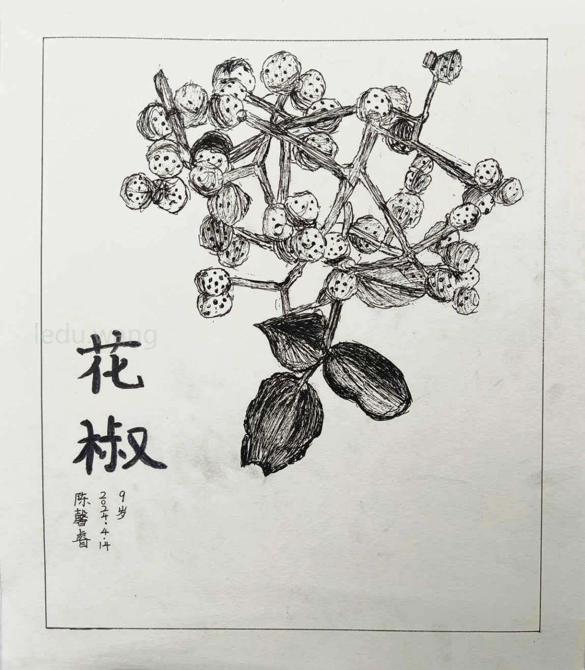 花椒儿童绘画 陈馨睿