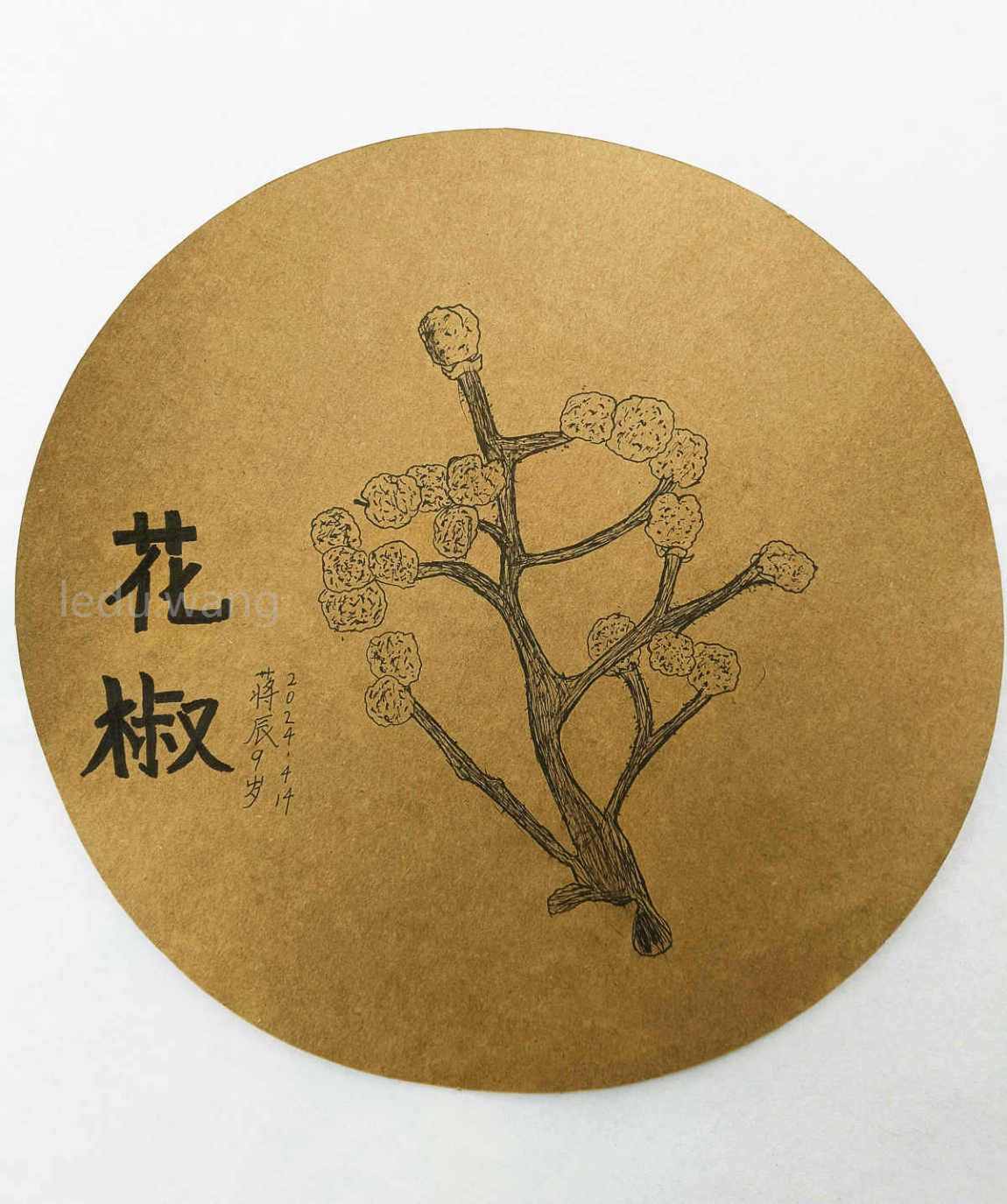 花椒儿童绘画 蒋辰