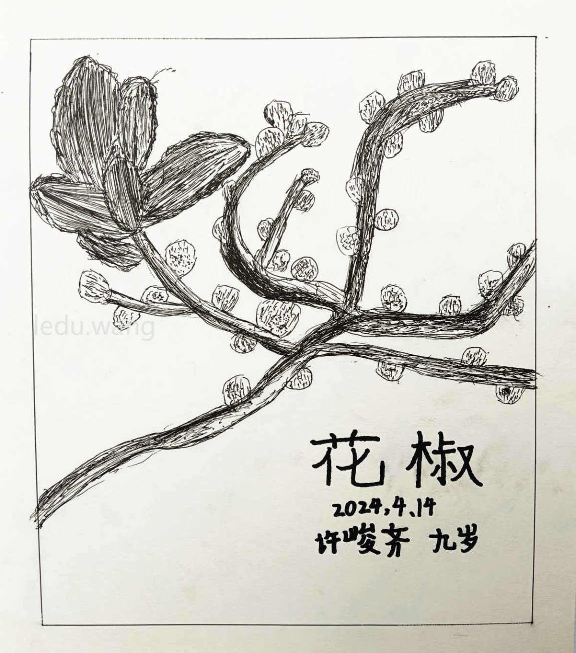 花椒儿童绘画 许峻齐