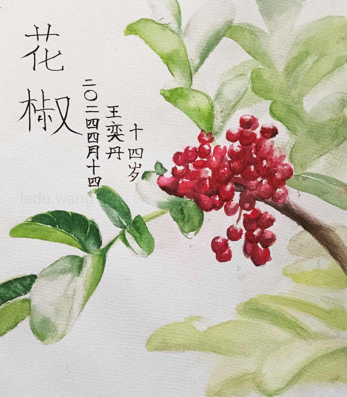 花椒儿童绘画 王奕凡