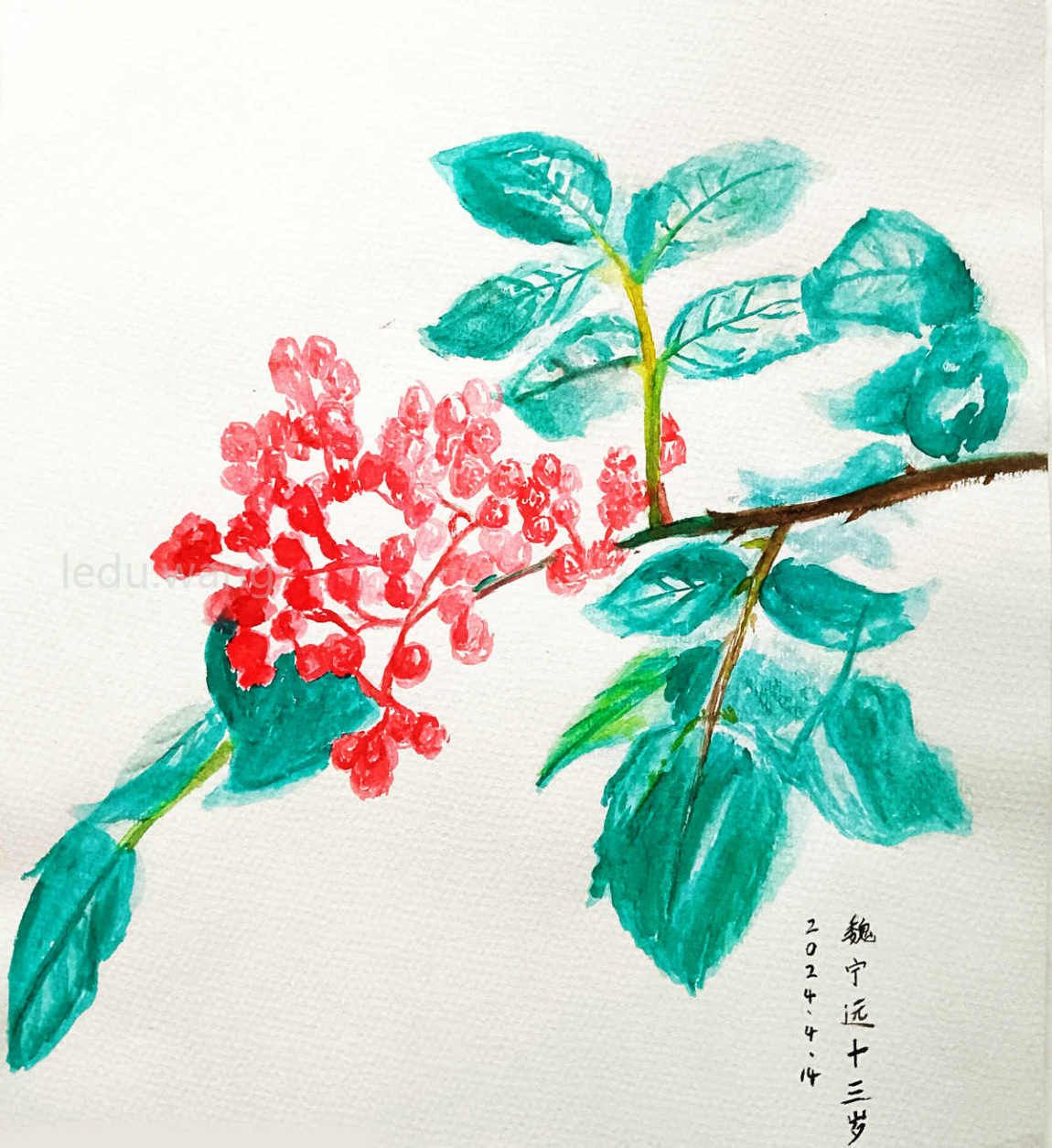 花椒儿童绘画 魏宁远