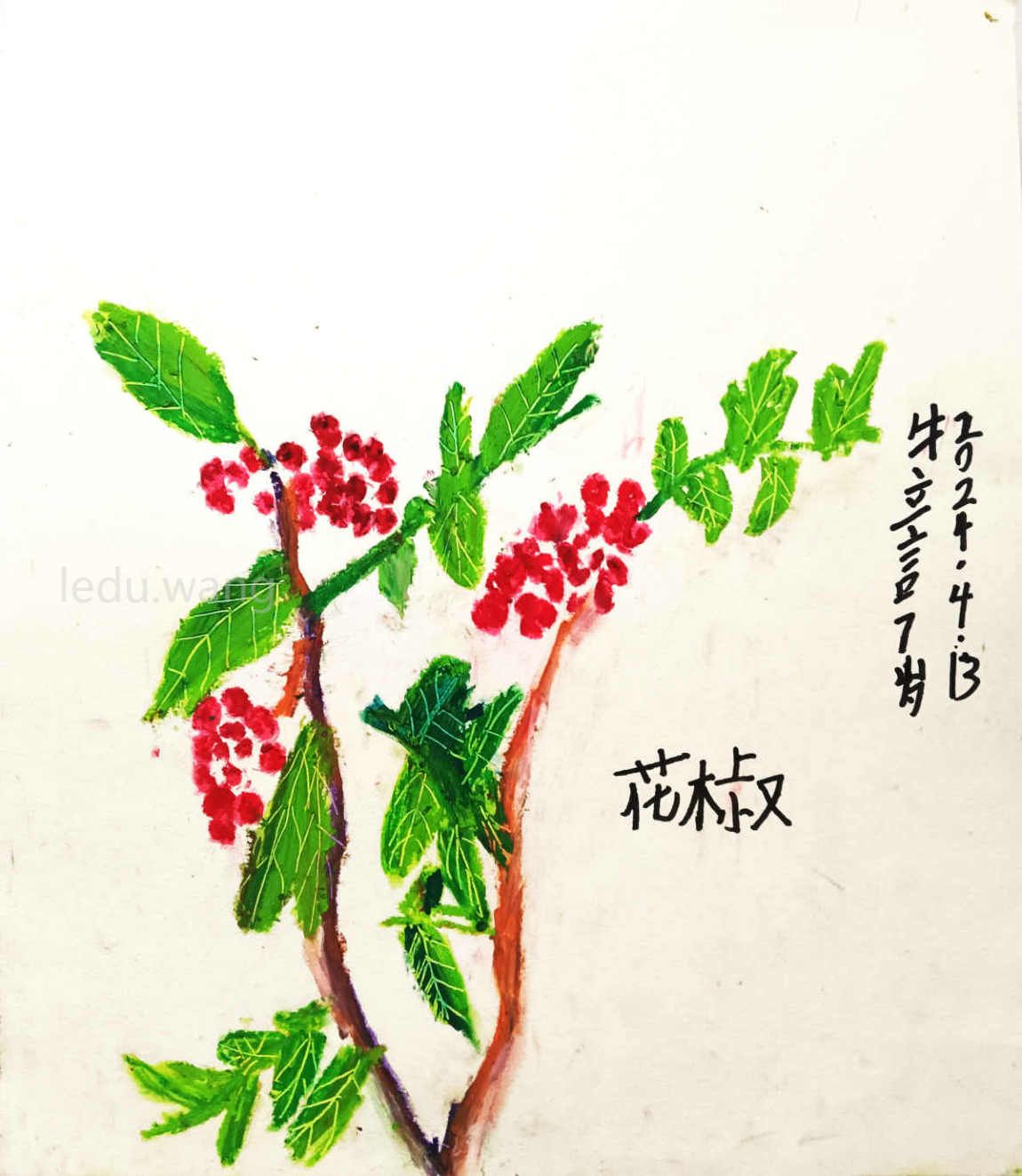 花椒儿童绘画 牛立言