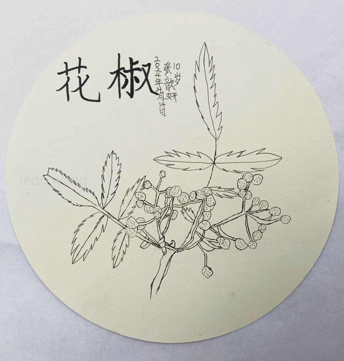 【舌尖上的椒香】图4