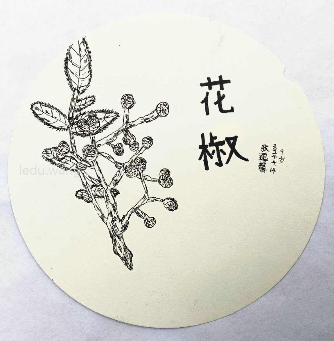 【秦安花椒】图3
