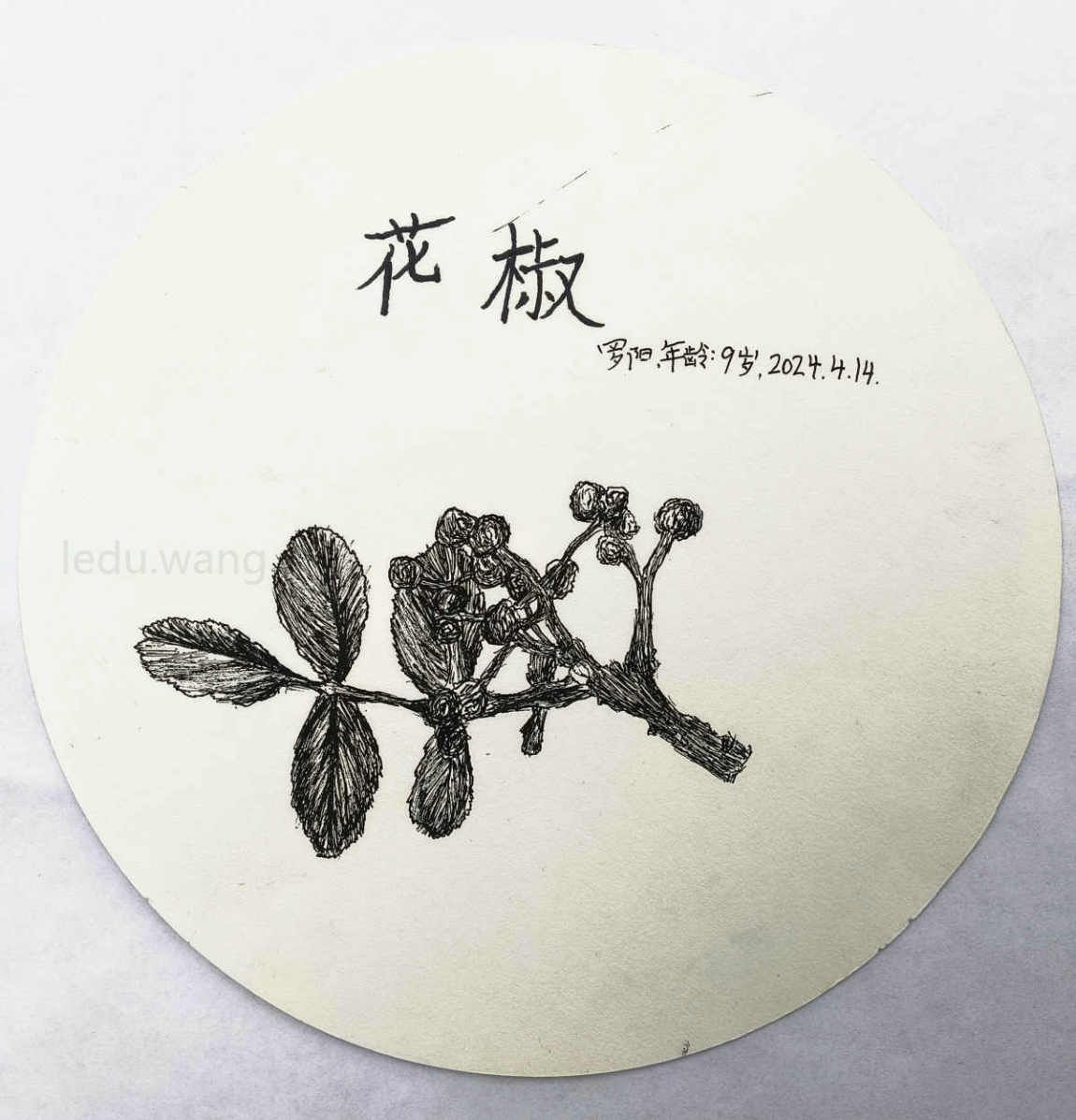 【秦安花椒】图1