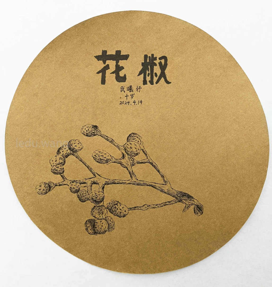 【秦安花椒】图4