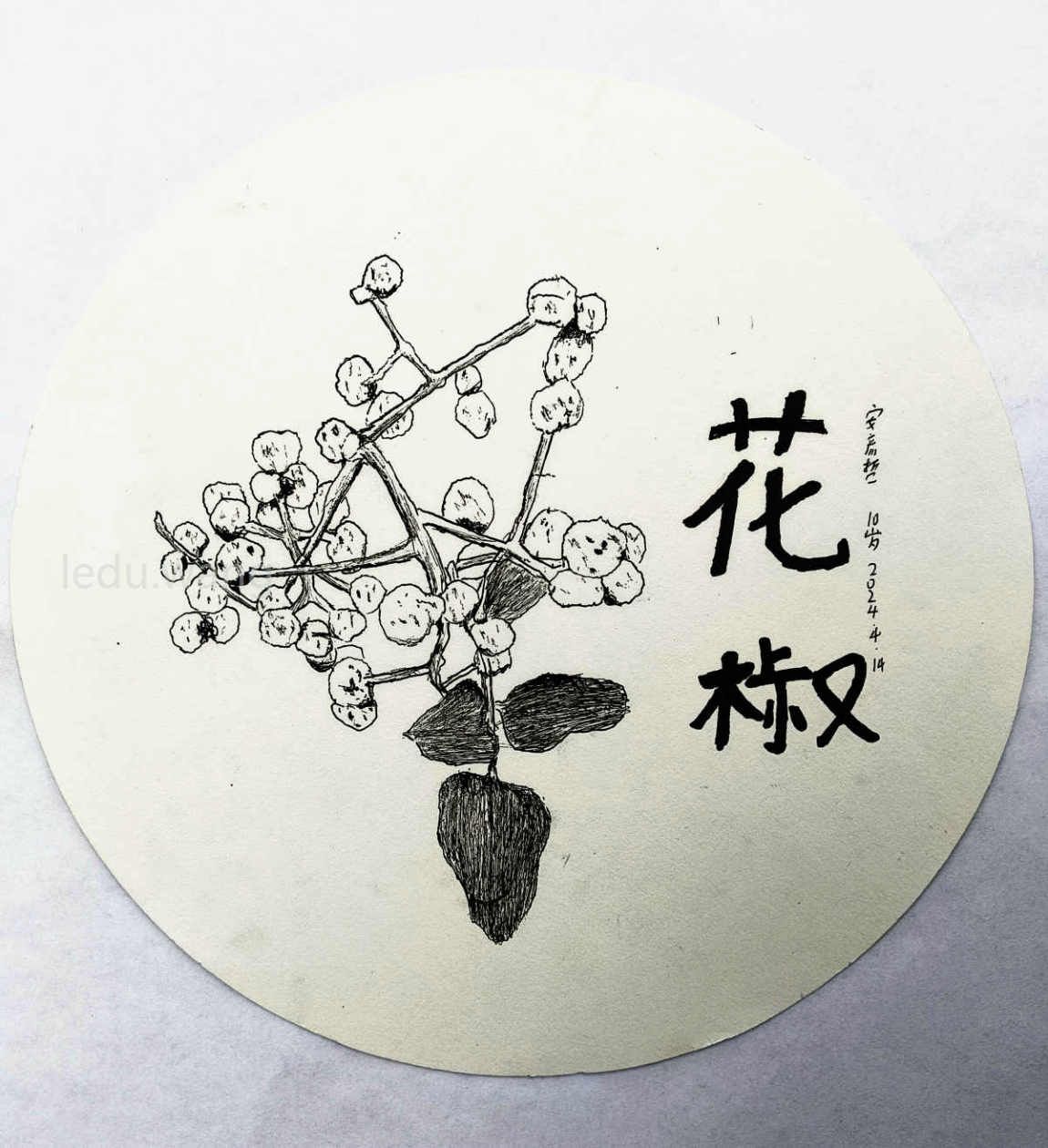 花椒儿童绘画 安彦哲