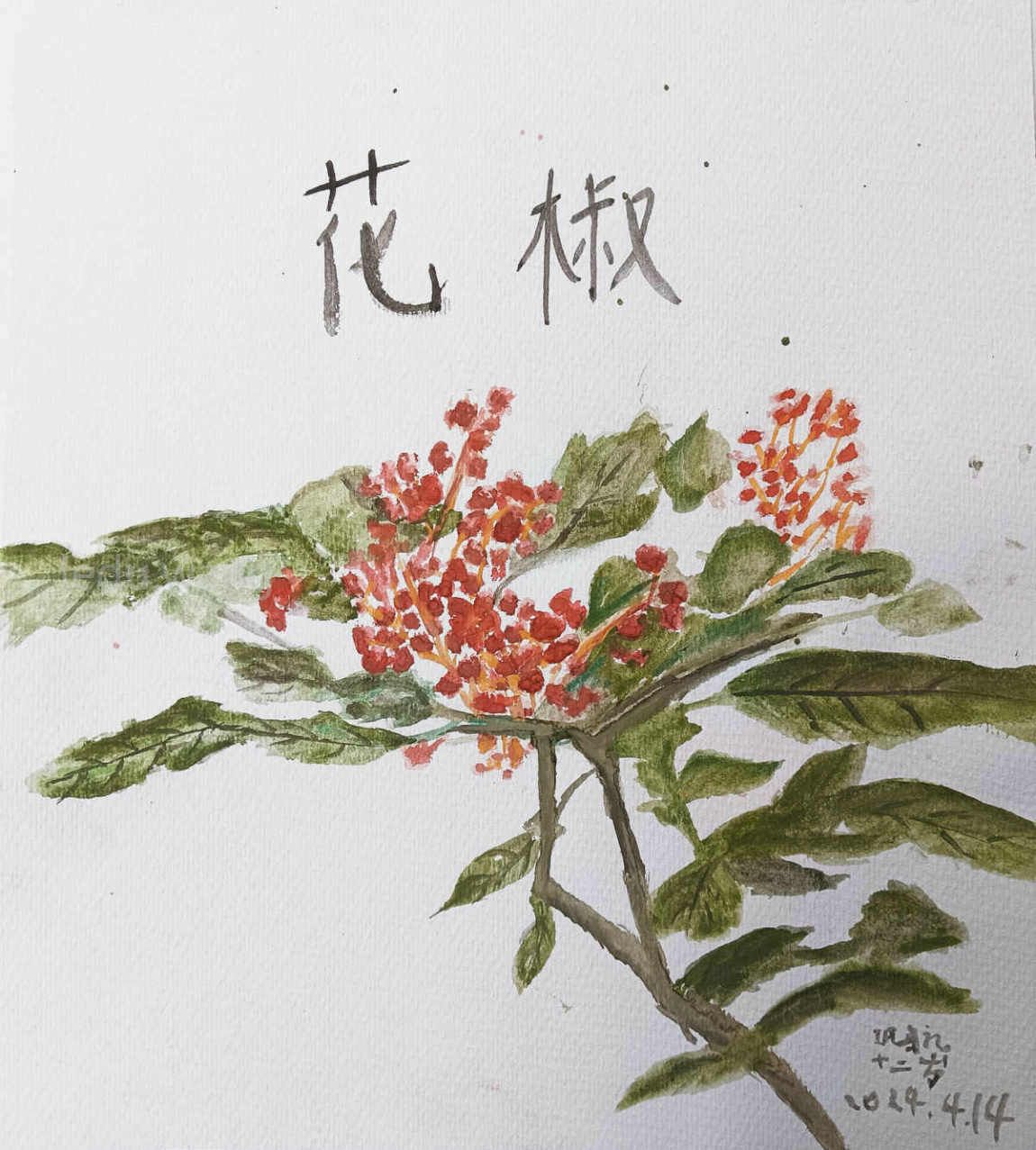 【麻辣秦安，花椒传情】图3