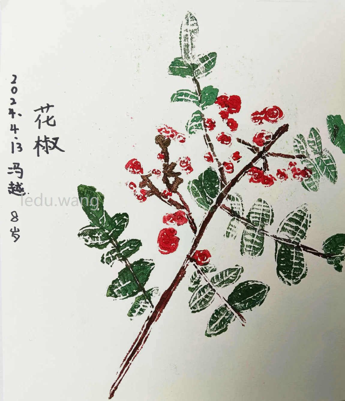 【秦安花椒】图3
