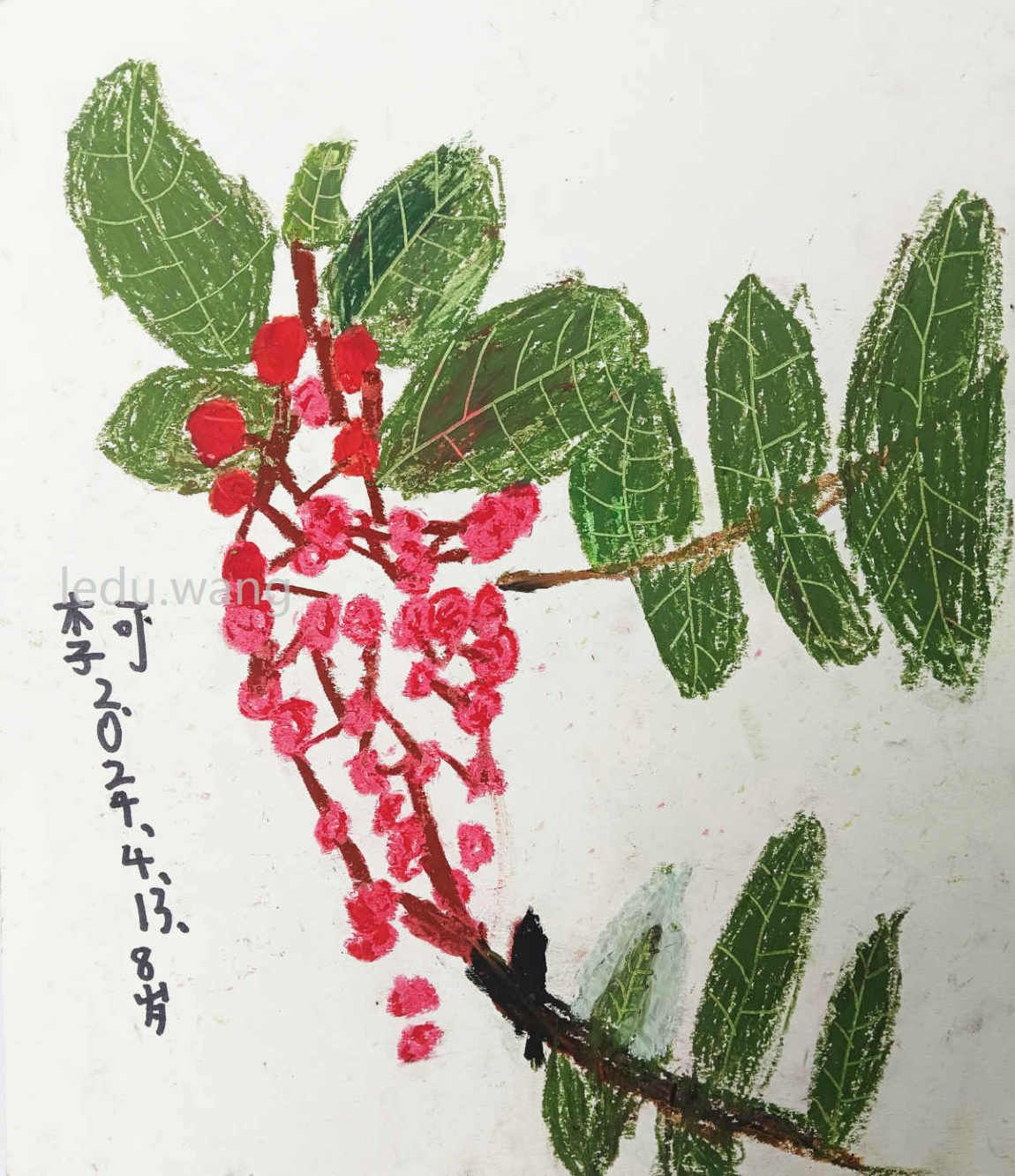 【秦安花椒】图4