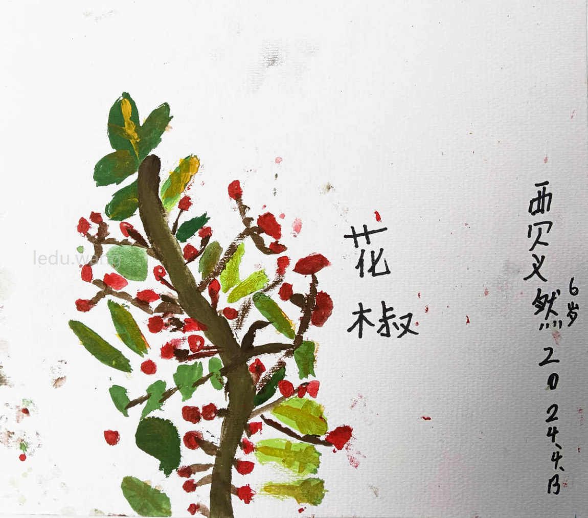 【家乡的花椒】图1