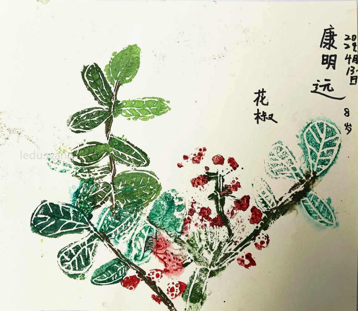 【家乡的花椒】图3