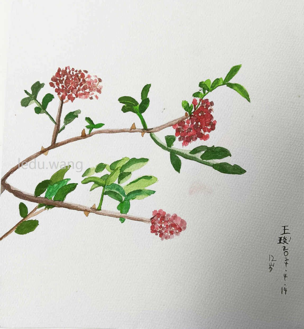 【上有青风林，下有青椒坟】图2