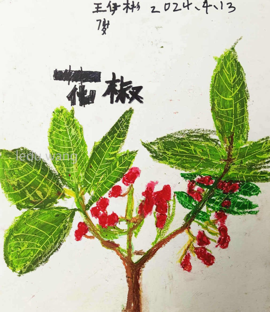 【上有青风林，下有青椒坟】图4
