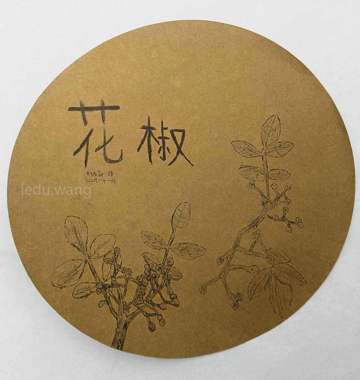 【我为家乡花椒代言】图2