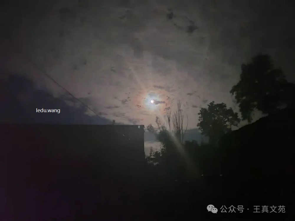 老家的秋夜
