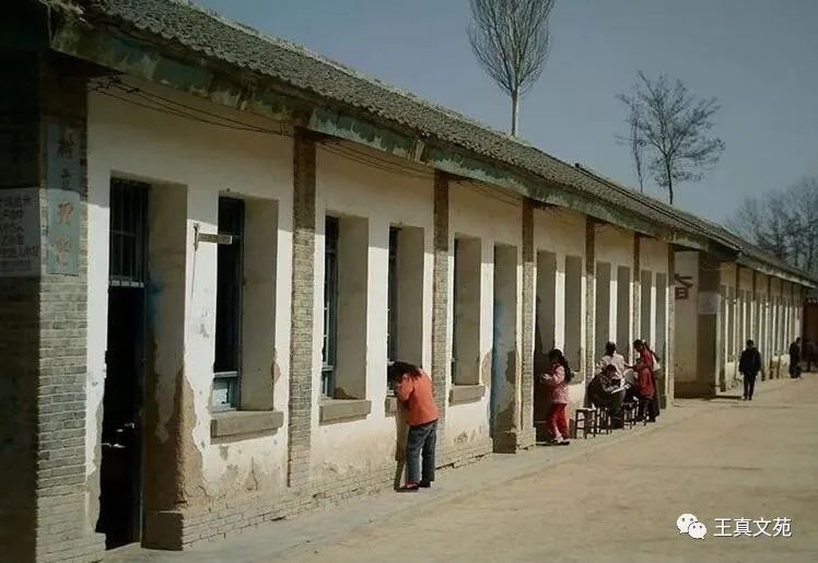 【难忘的小学生活（下）】图1