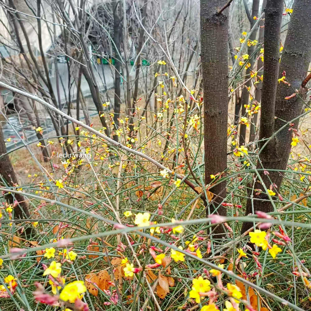 七律/与诸表弟聚会成纪宴府吟
