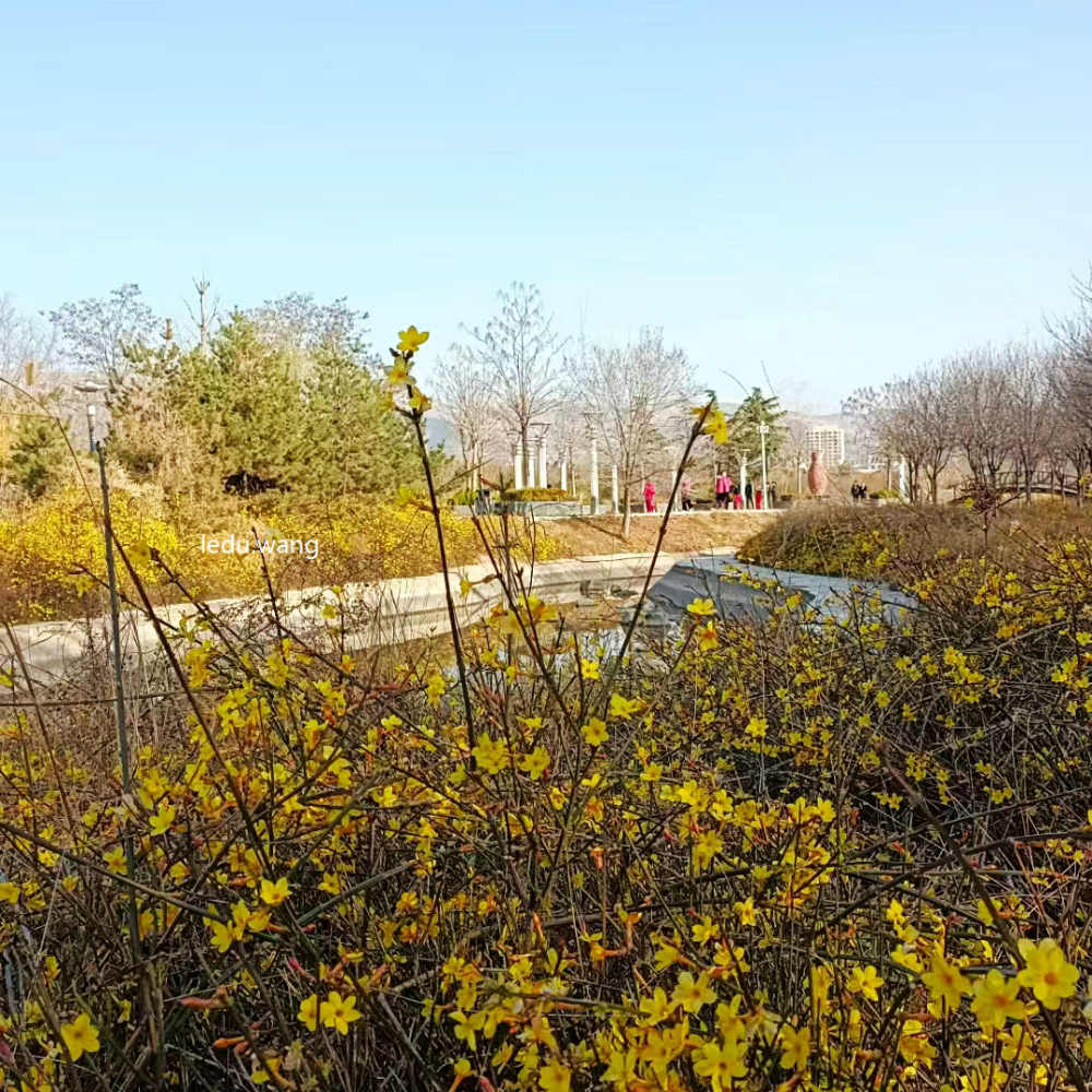 【春到葫芦河生态公园】图3