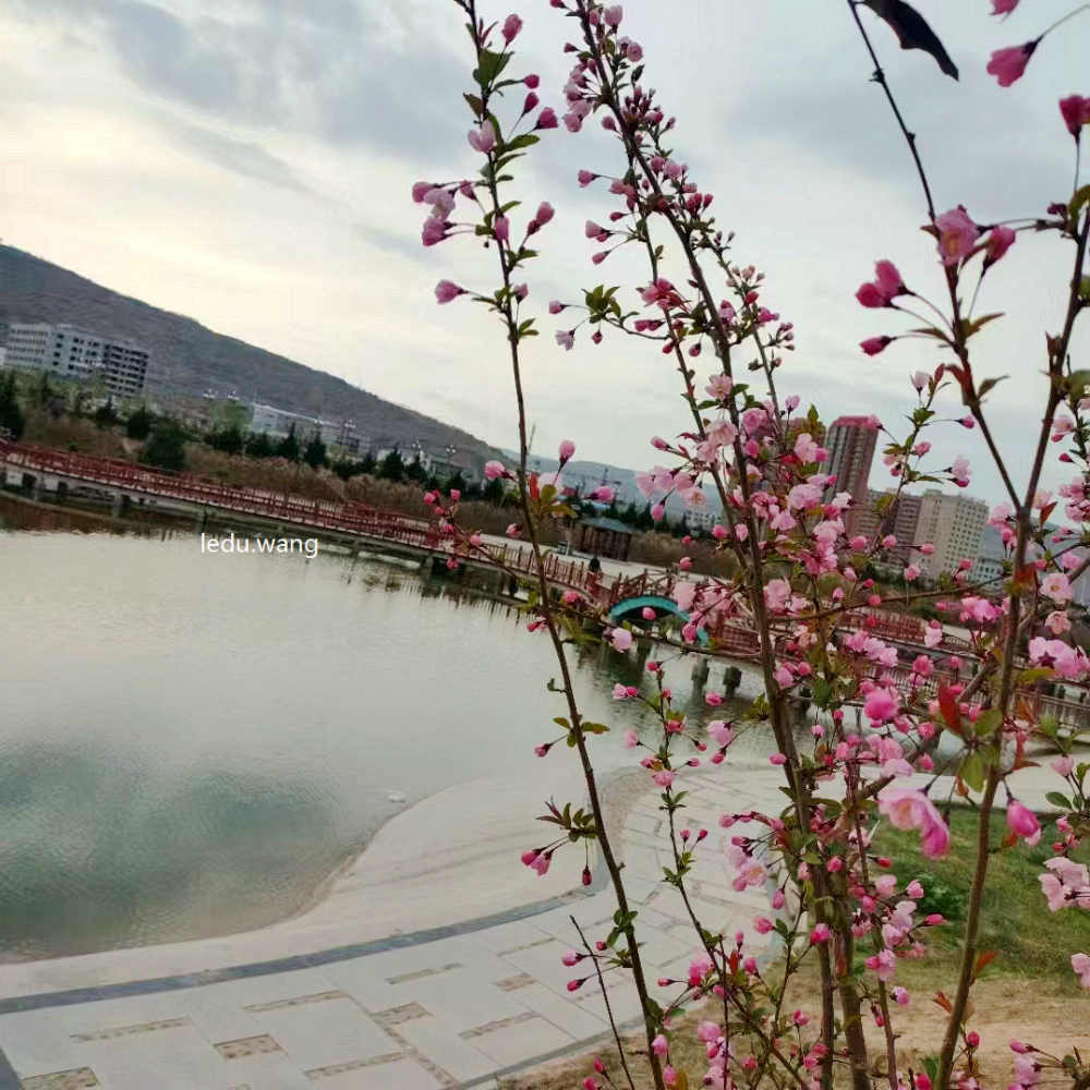 【东边日出西边雨 雨前小城风景】图2