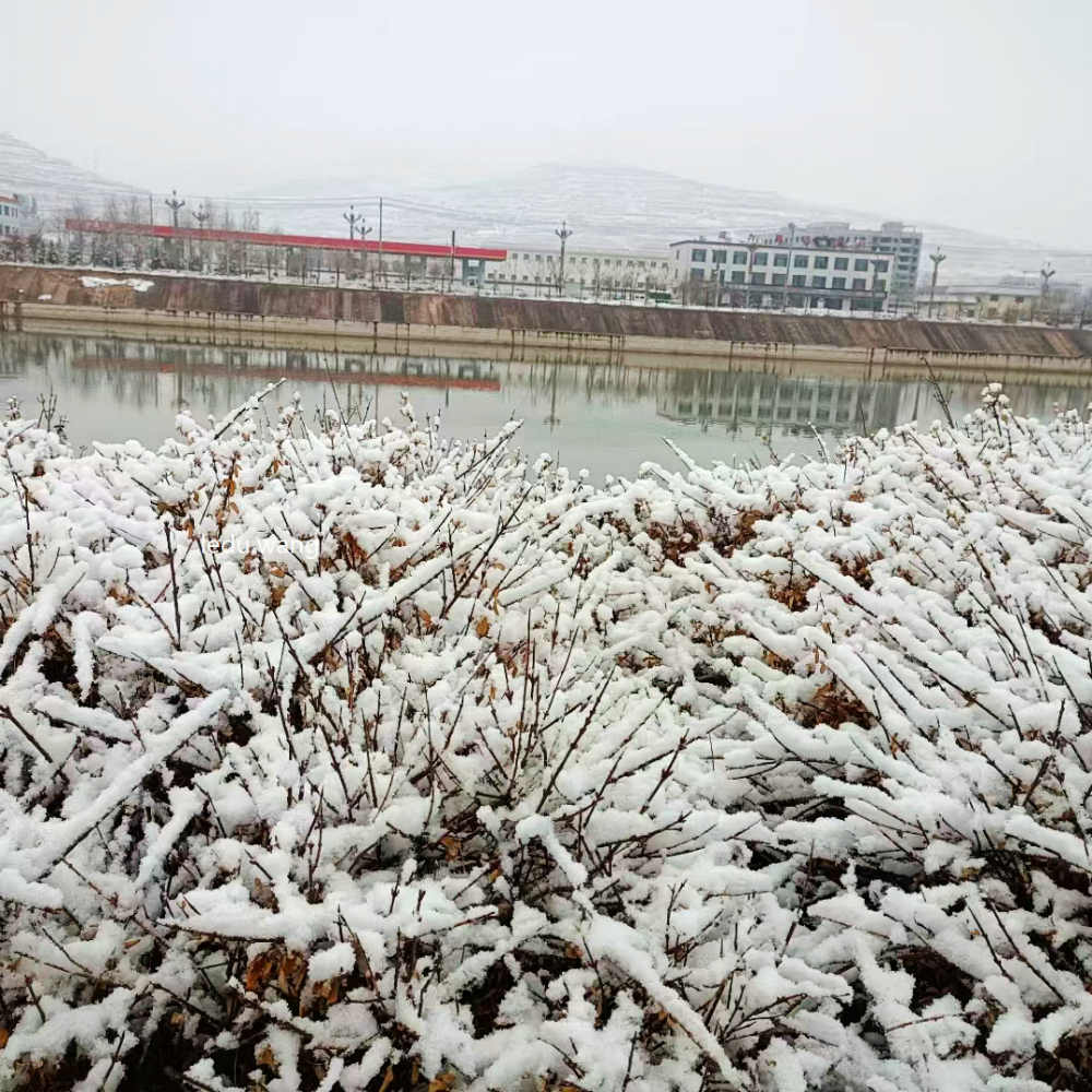 【落雪的小城】图1