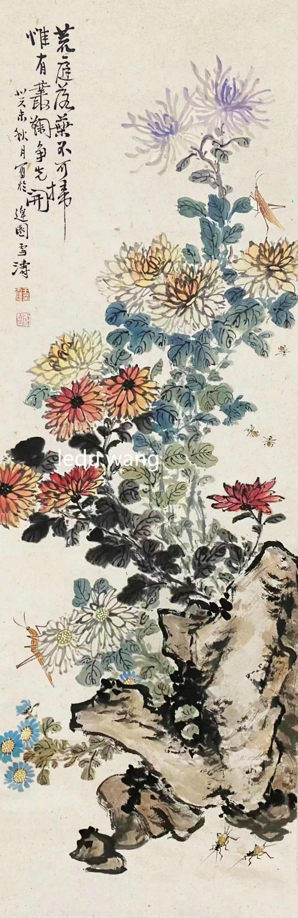 七绝 菊