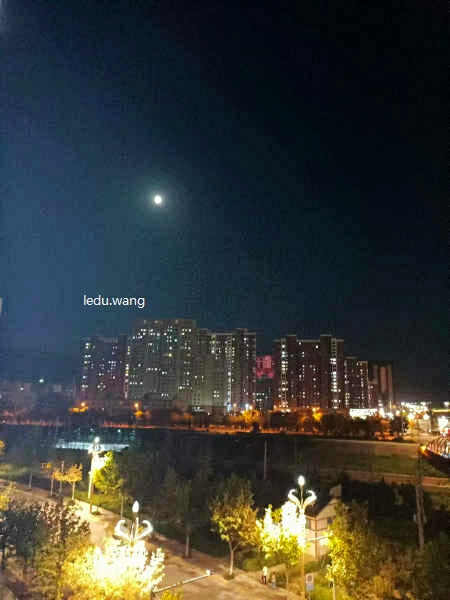 五律  每逢佳节倍思亲  