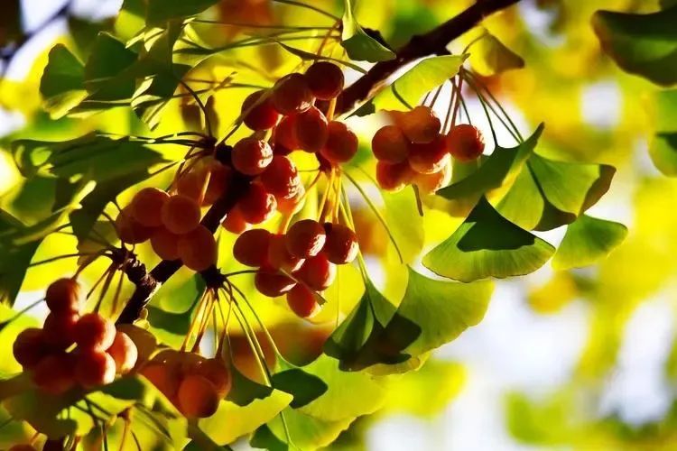 【常小康/风茔之春（组诗）】图4